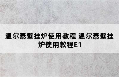 温尔泰壁挂炉使用教程 温尔泰壁挂炉使用教程E1